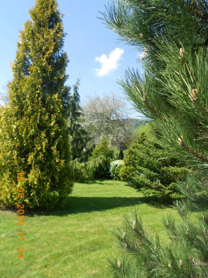 Agroturystyka Zielony Ogrod Scinawka Srednia Exterior photo